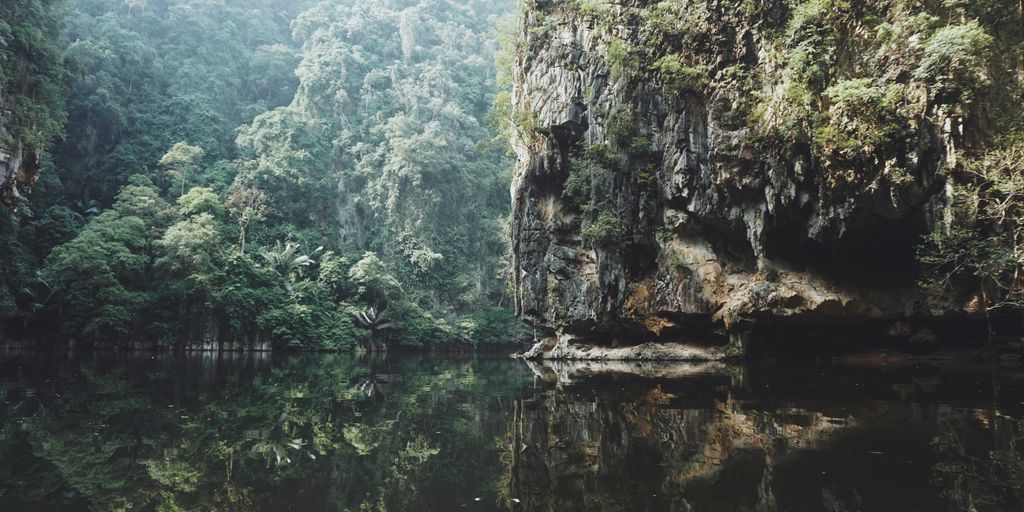 calm body of water beside green trees